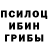 Псилоцибиновые грибы Psilocybine cubensis Mani_kani99