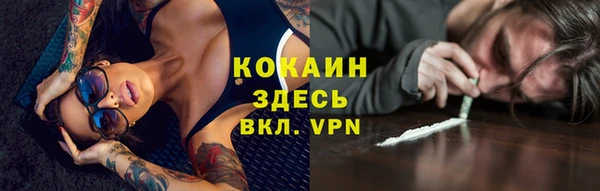 сатива Белоозёрский