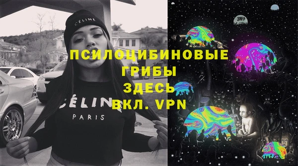 ПСИЛОЦИБИНОВЫЕ ГРИБЫ Баксан