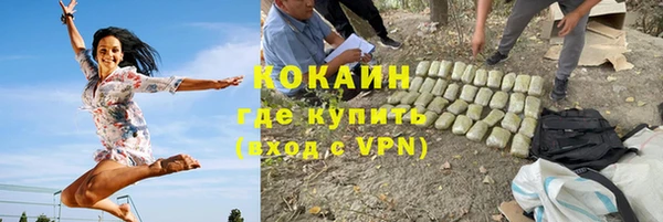 сатива Белоозёрский